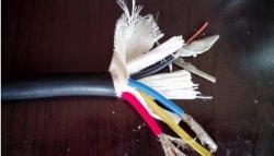 DCS电缆