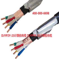 DJYP3Y-23计算机电缆