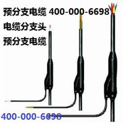 YFD-YJY预制分支电缆